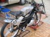 solex 021.jpg