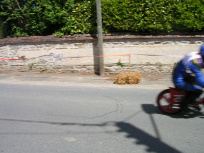Cliquez pour voir l'image en taille réelle