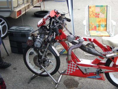 Cliquez pour voir l'image en taille réelle