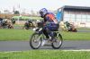 IMG_3714_redimensionner.JPG