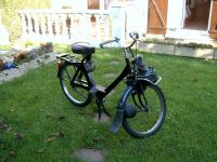 Lord Authentic - Solex avant pr