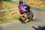 IMGP5284~0.JPG