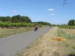 DSC01940.JPG