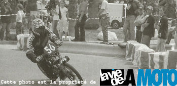 Bromes Les Mimozas Solex